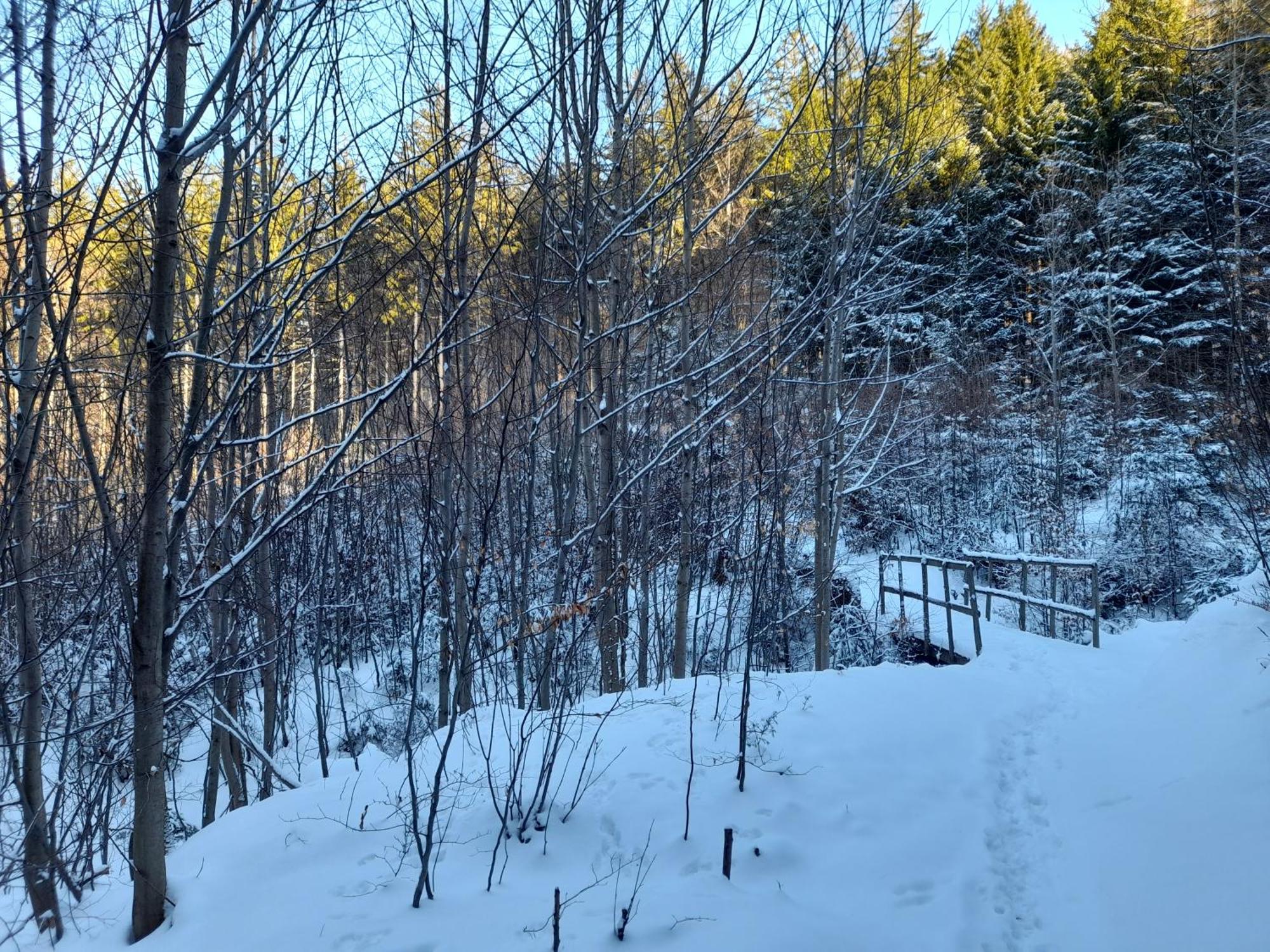 Ubytovani Na Namesti Nove Mesto pod Smrkem Buitenkant foto